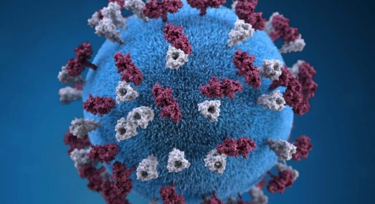 CoronaVirus