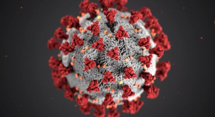 coronavirus