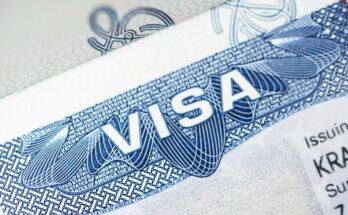 all about visa