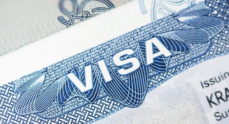 all about visa